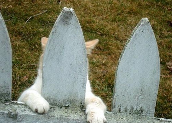 Catherine