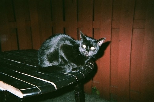 Robert
