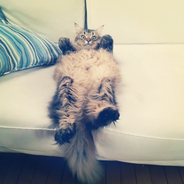 Lars