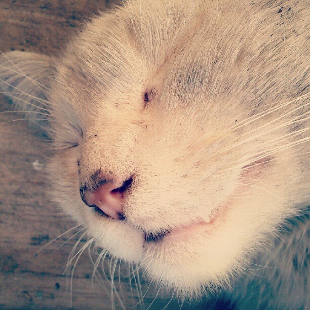 Duncan