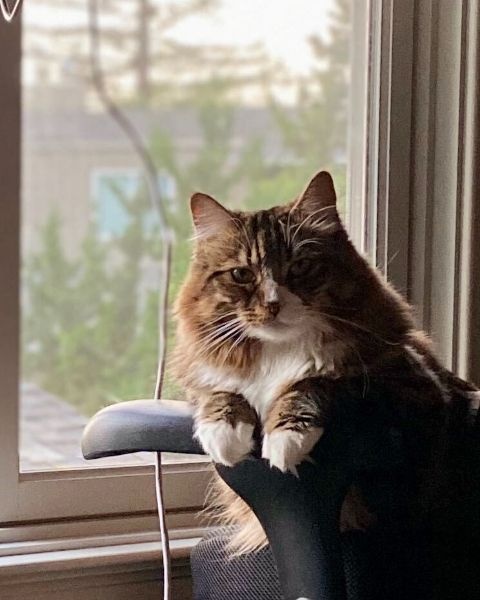 Margaret