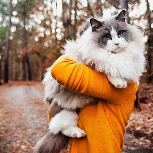 Barbara