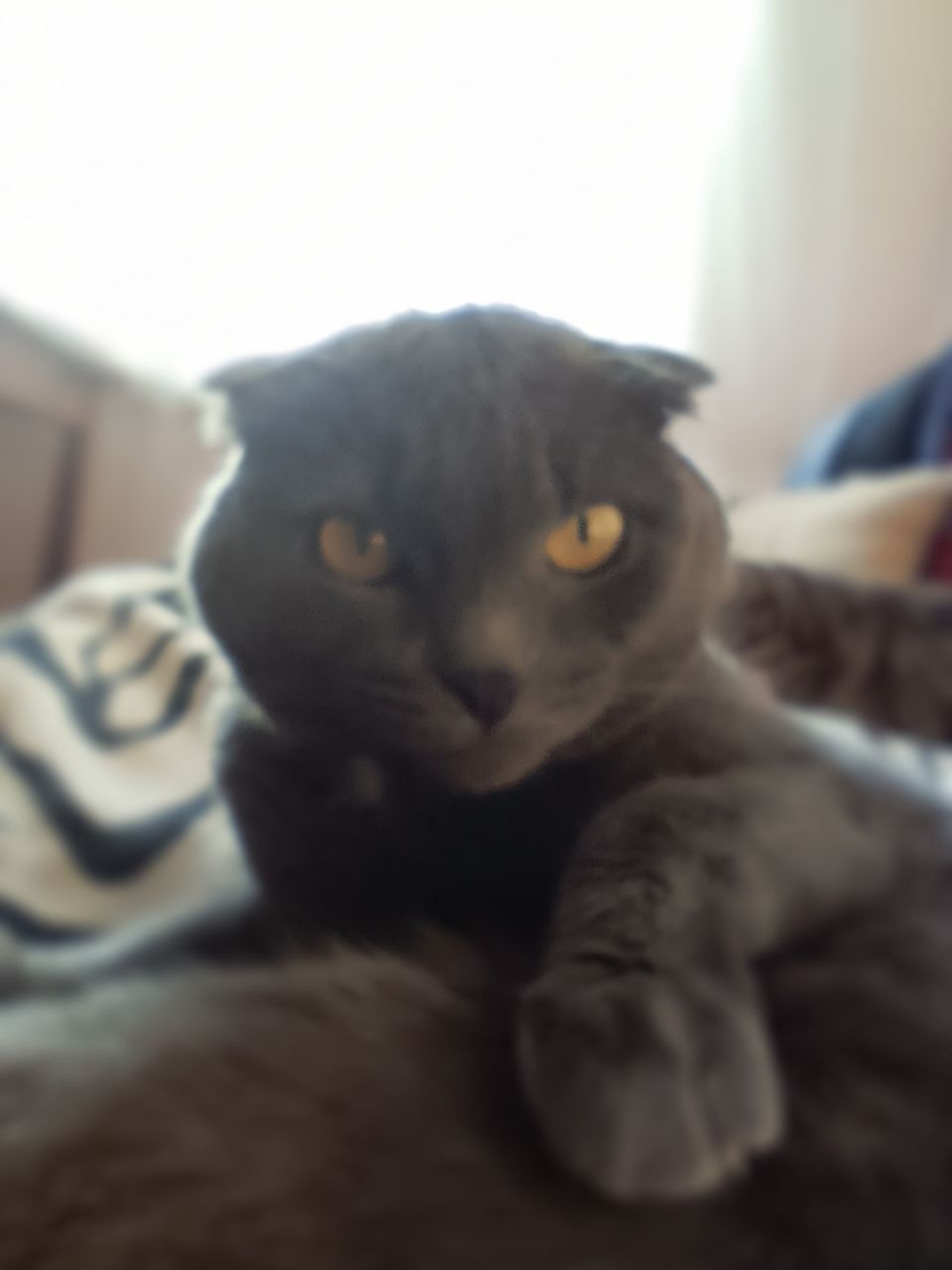 Robert