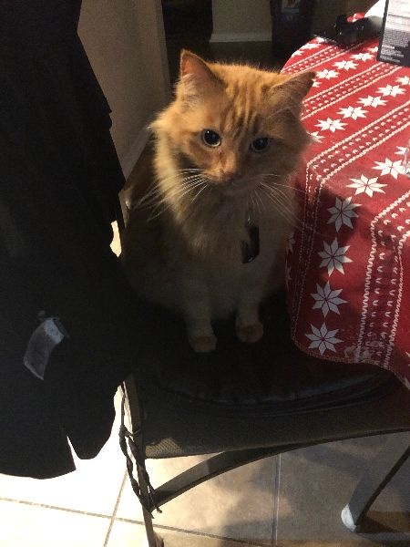 Charlie