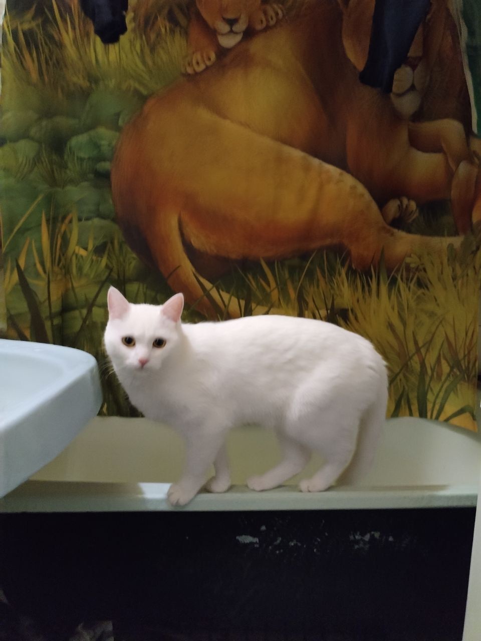Dennis
