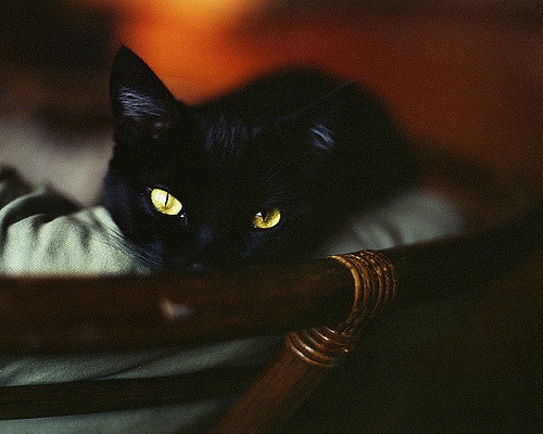 Kati