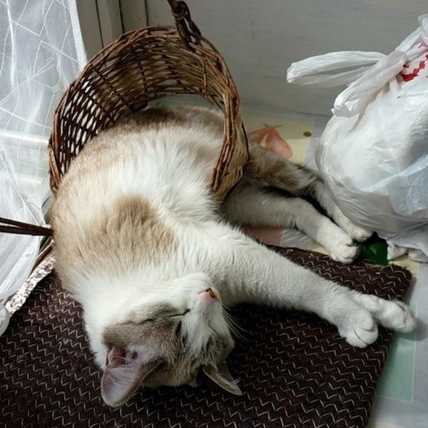 William