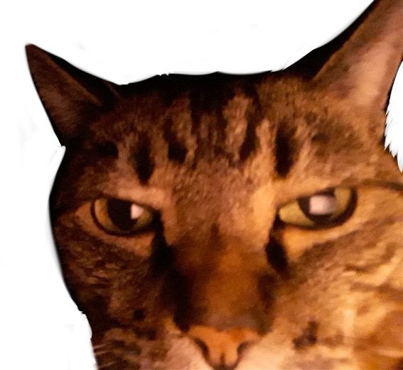 Peter