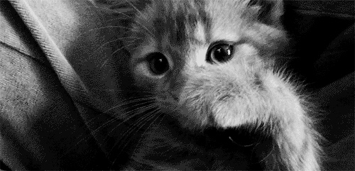 Margret