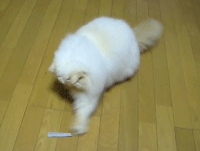 Kevin