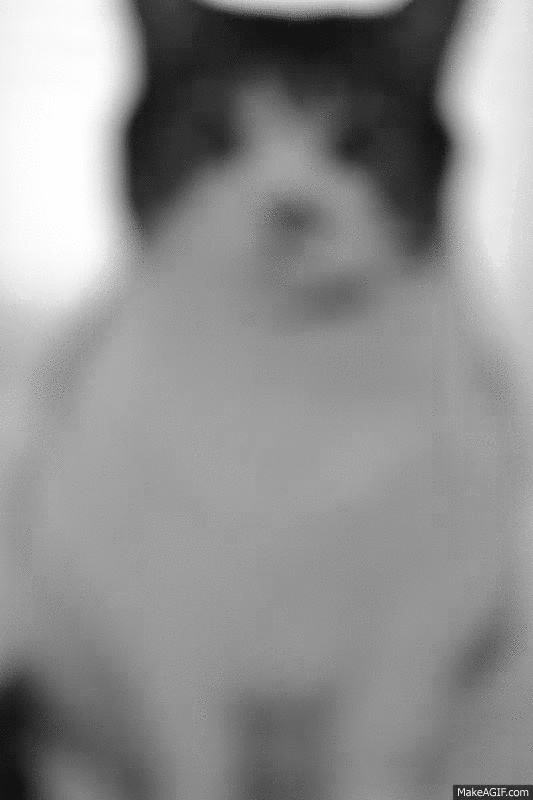 Diane