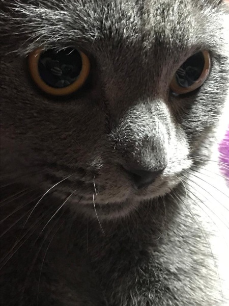 Juliana