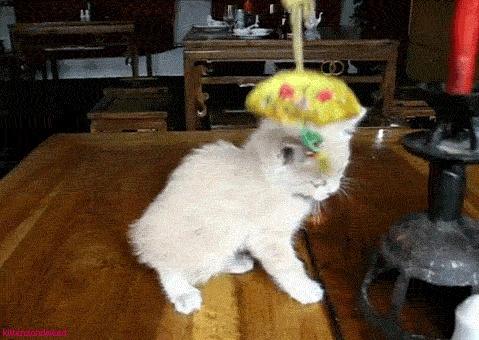 Brian