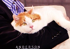 Patricia