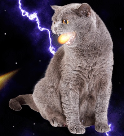 Sam