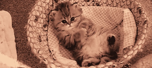 Brian