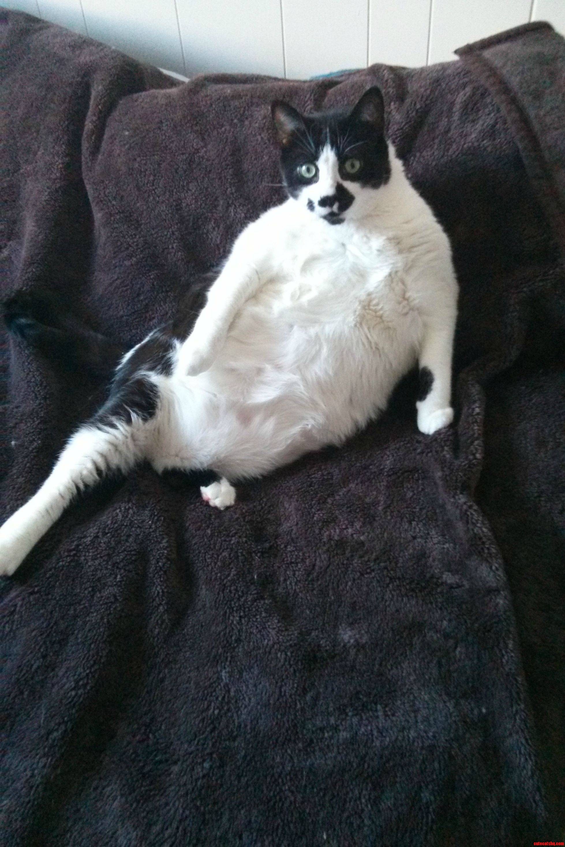 Daria
