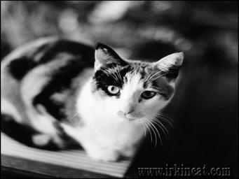 Eleanor