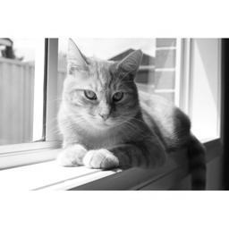 profile