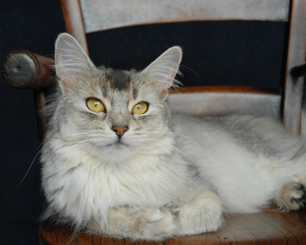 Anne