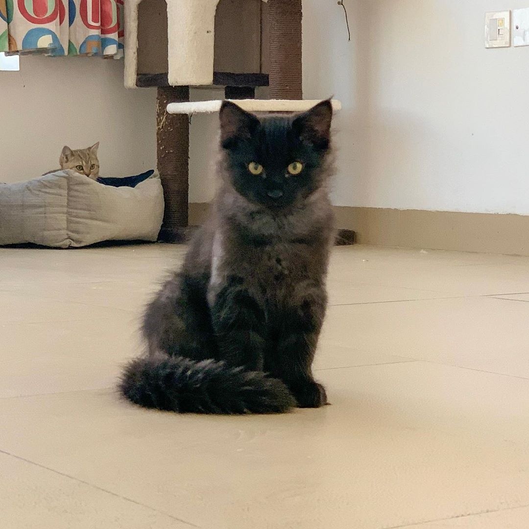 Ezra