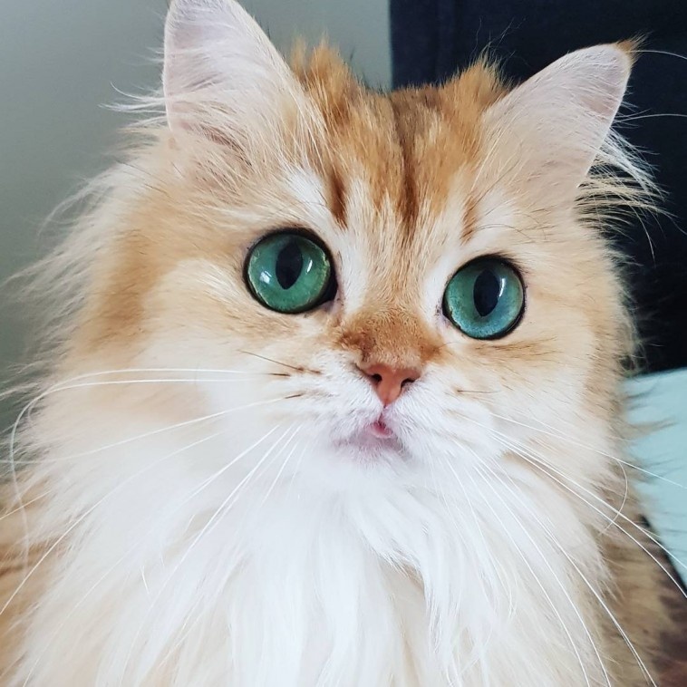 Victoria