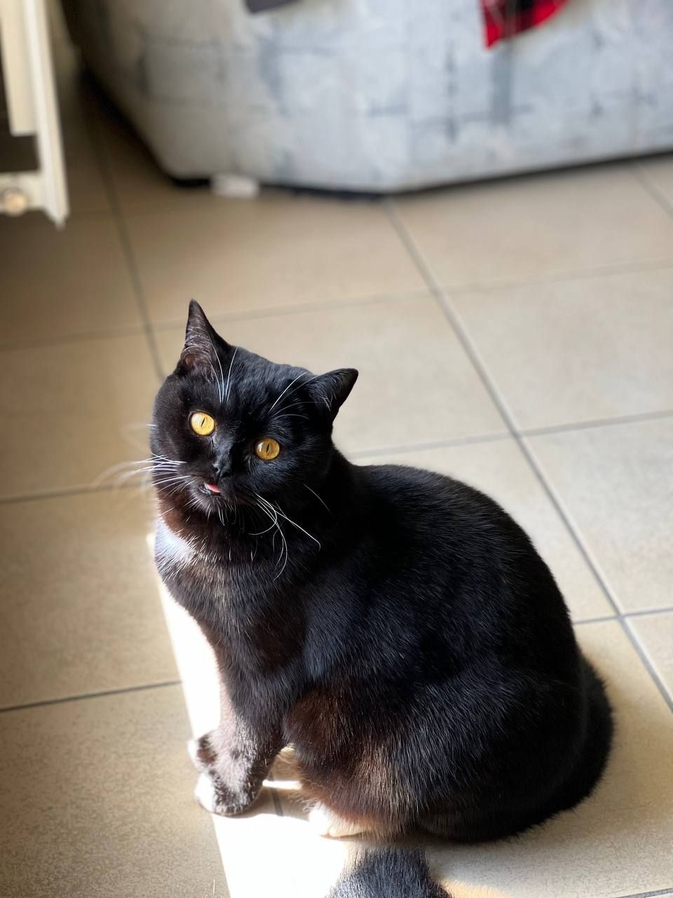 leena