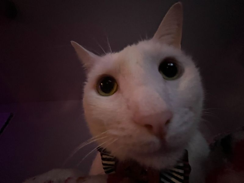 Benjamin