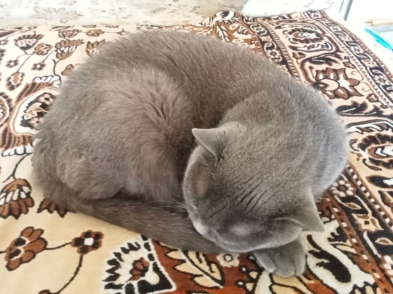 Amber