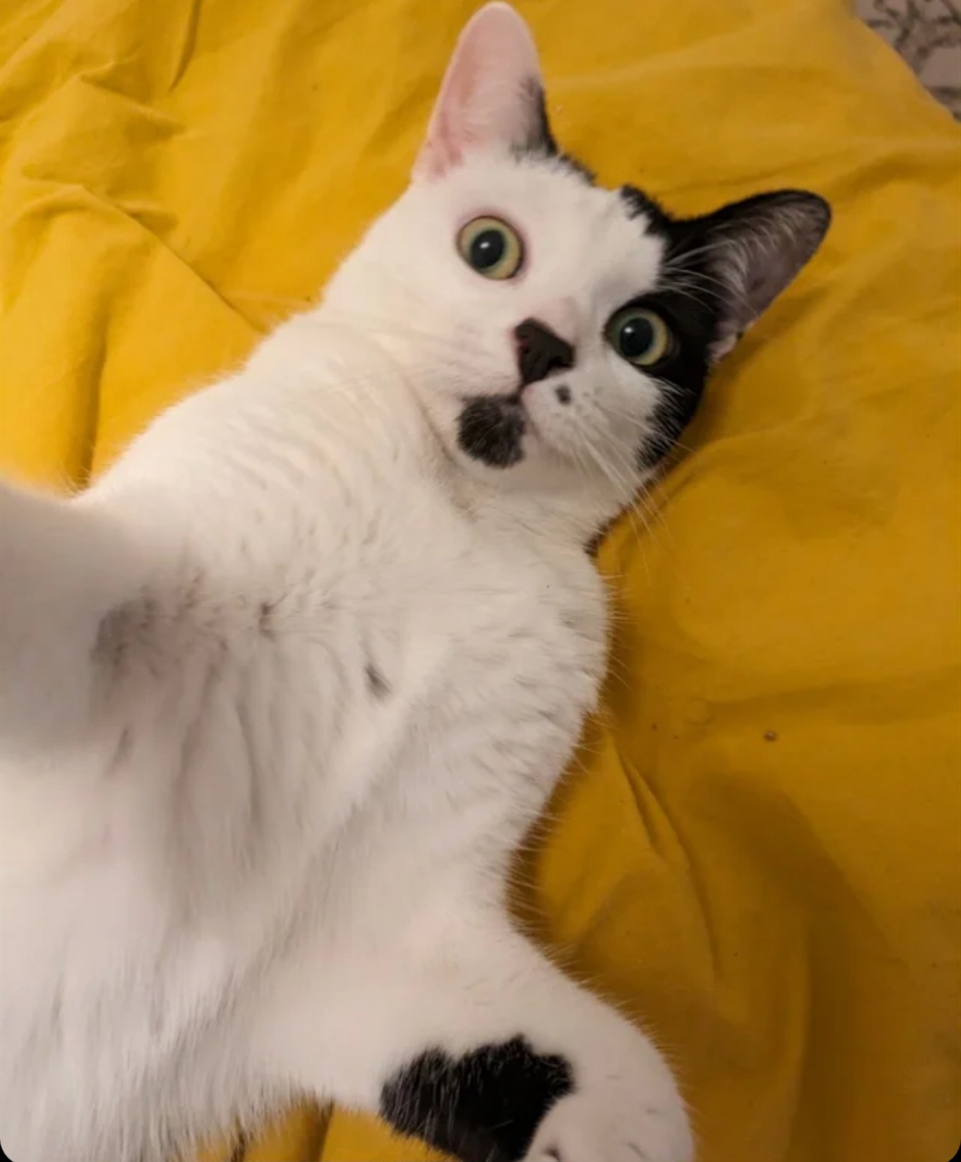 William