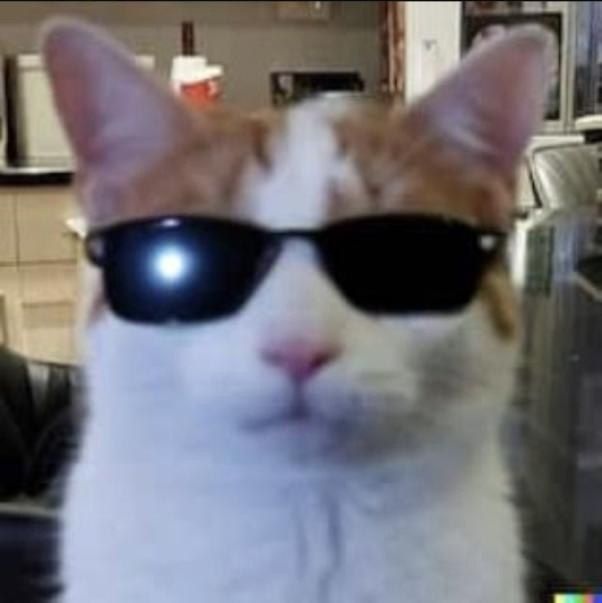 Novimir