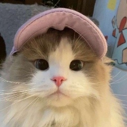 Paul