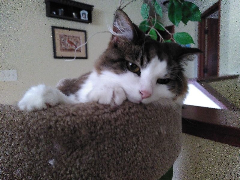 Christopher