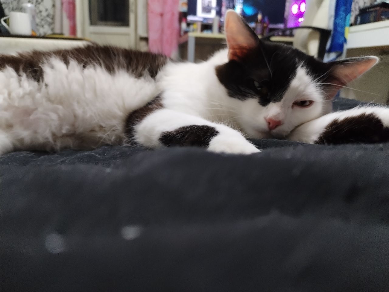 Thomas