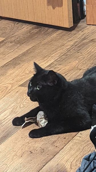 Diego