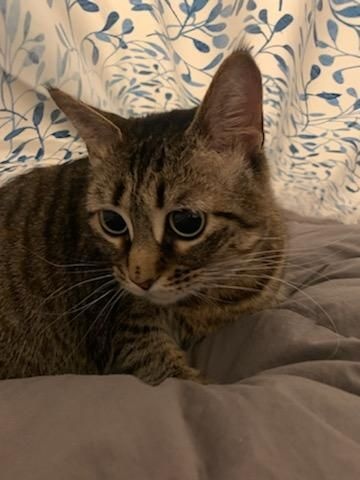 Helen