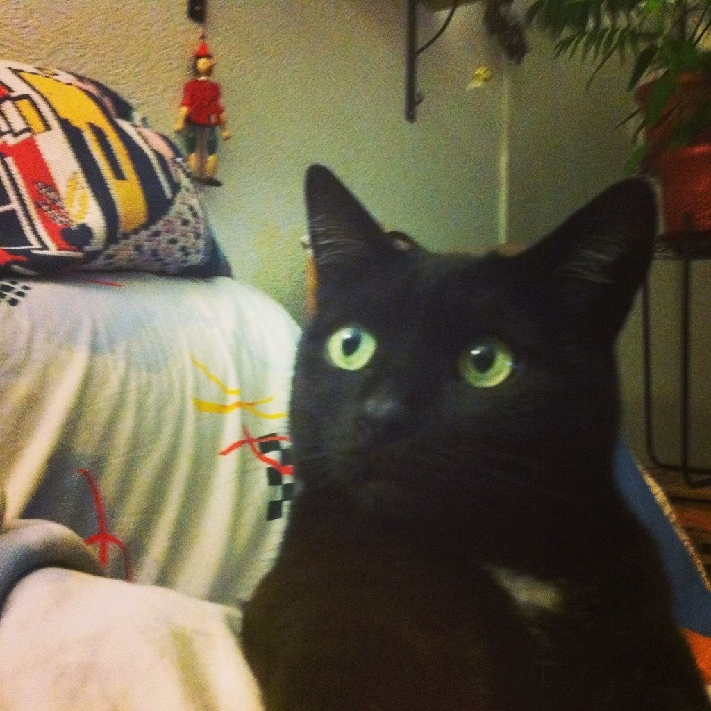 Jeffrey