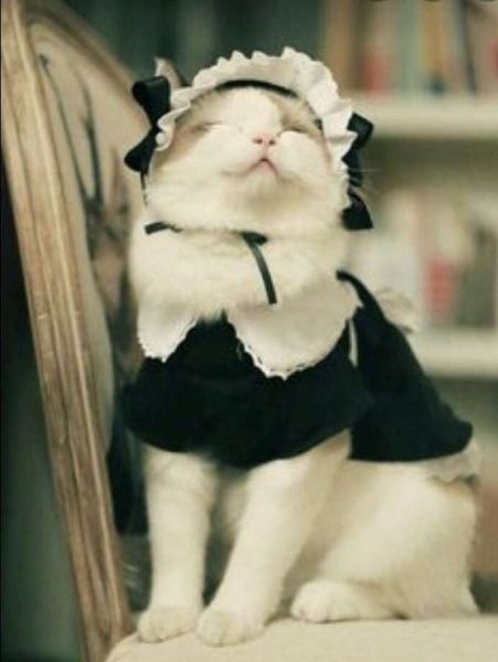 Margot