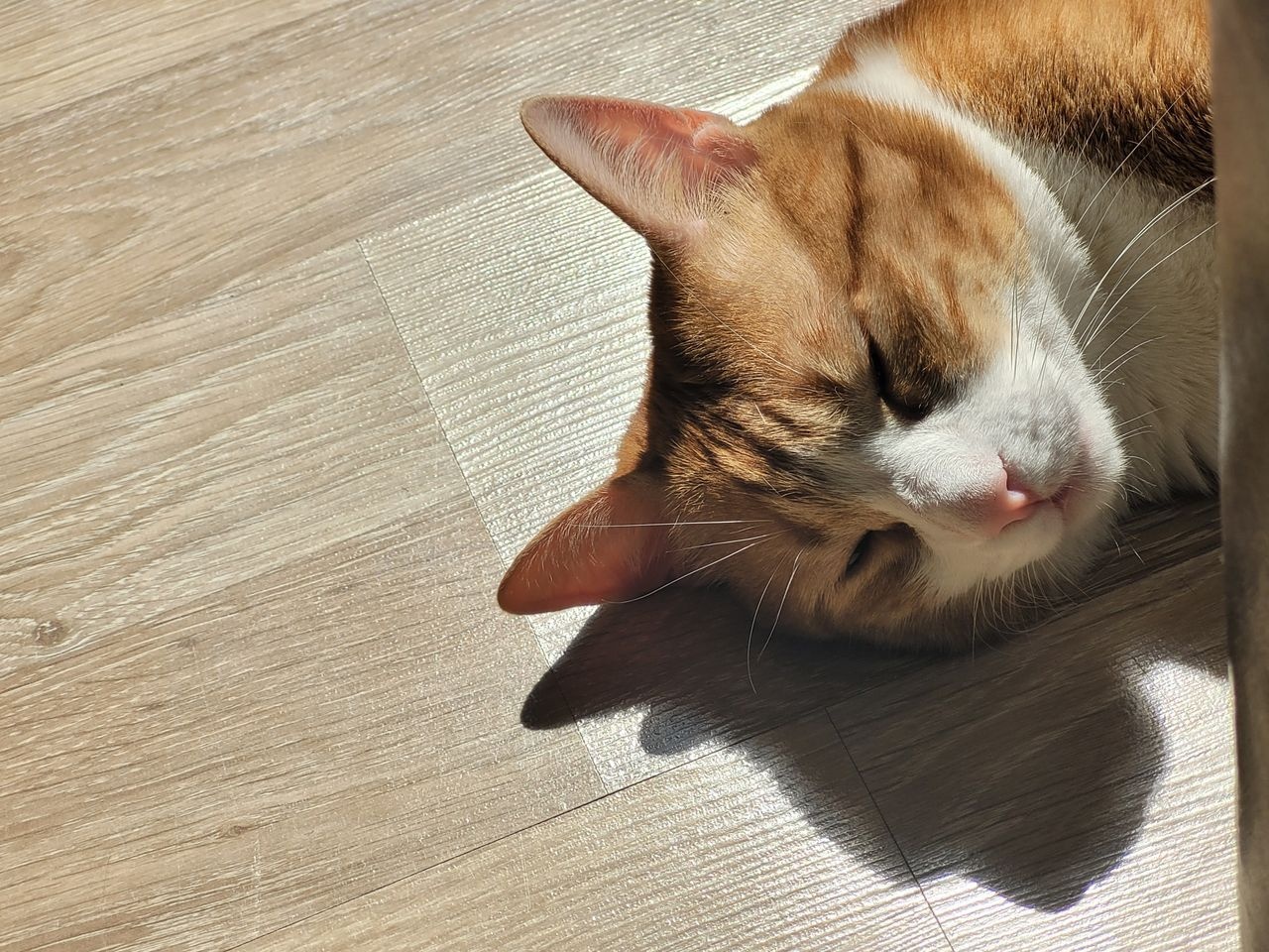 Henry