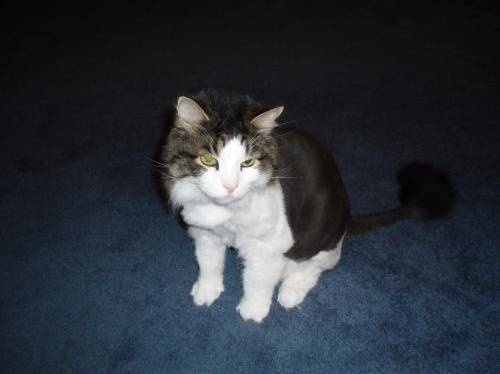 Eloise