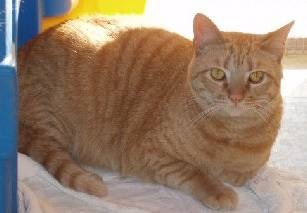 Kevin