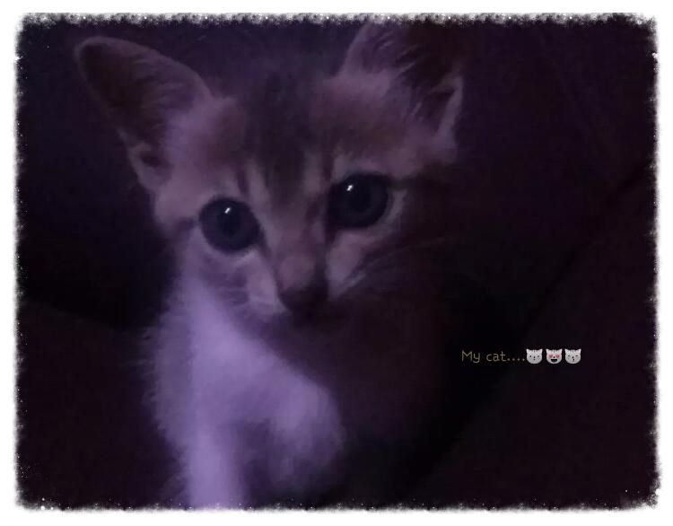 Riley