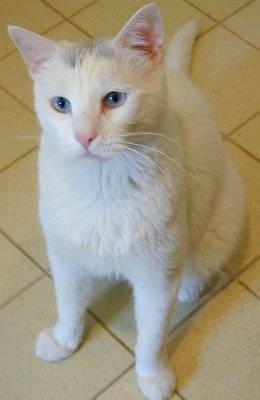 Zoe