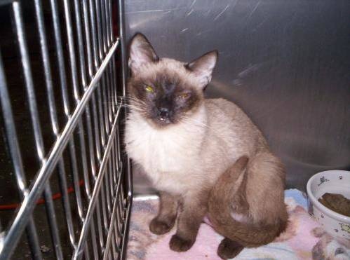 Theresa