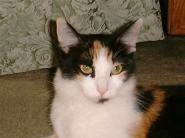 Thalia
