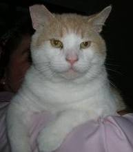 At