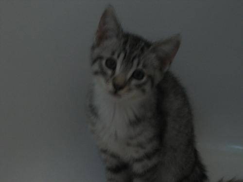 Nora