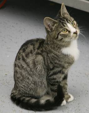 profile