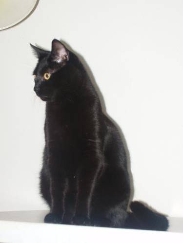 profile