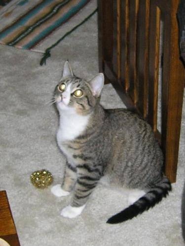 Carly